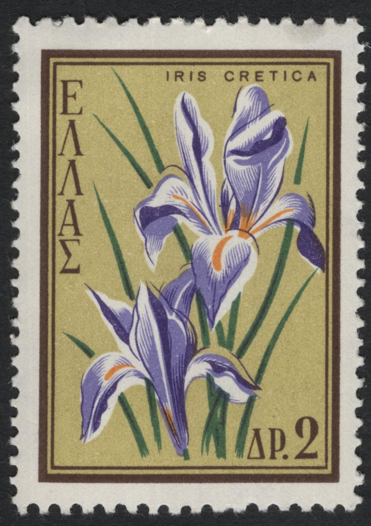 SCG11187 - 🇬🇷 Greece – Native Flora Definitives (Flowers of Greece) – 1954