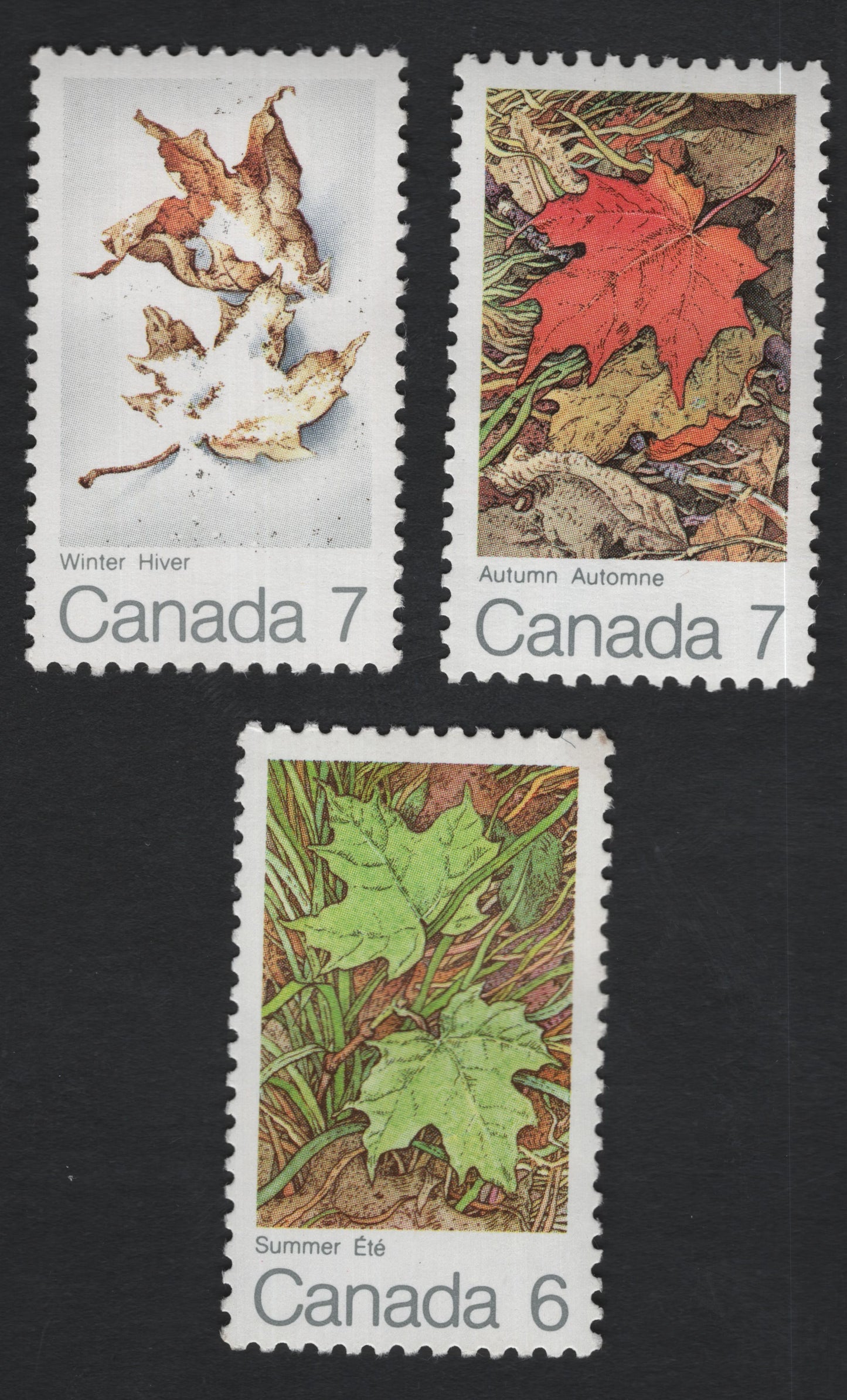 SCG11201 - 🇨🇦 Canada – Seasons (Maple Leaves) Definitive Set