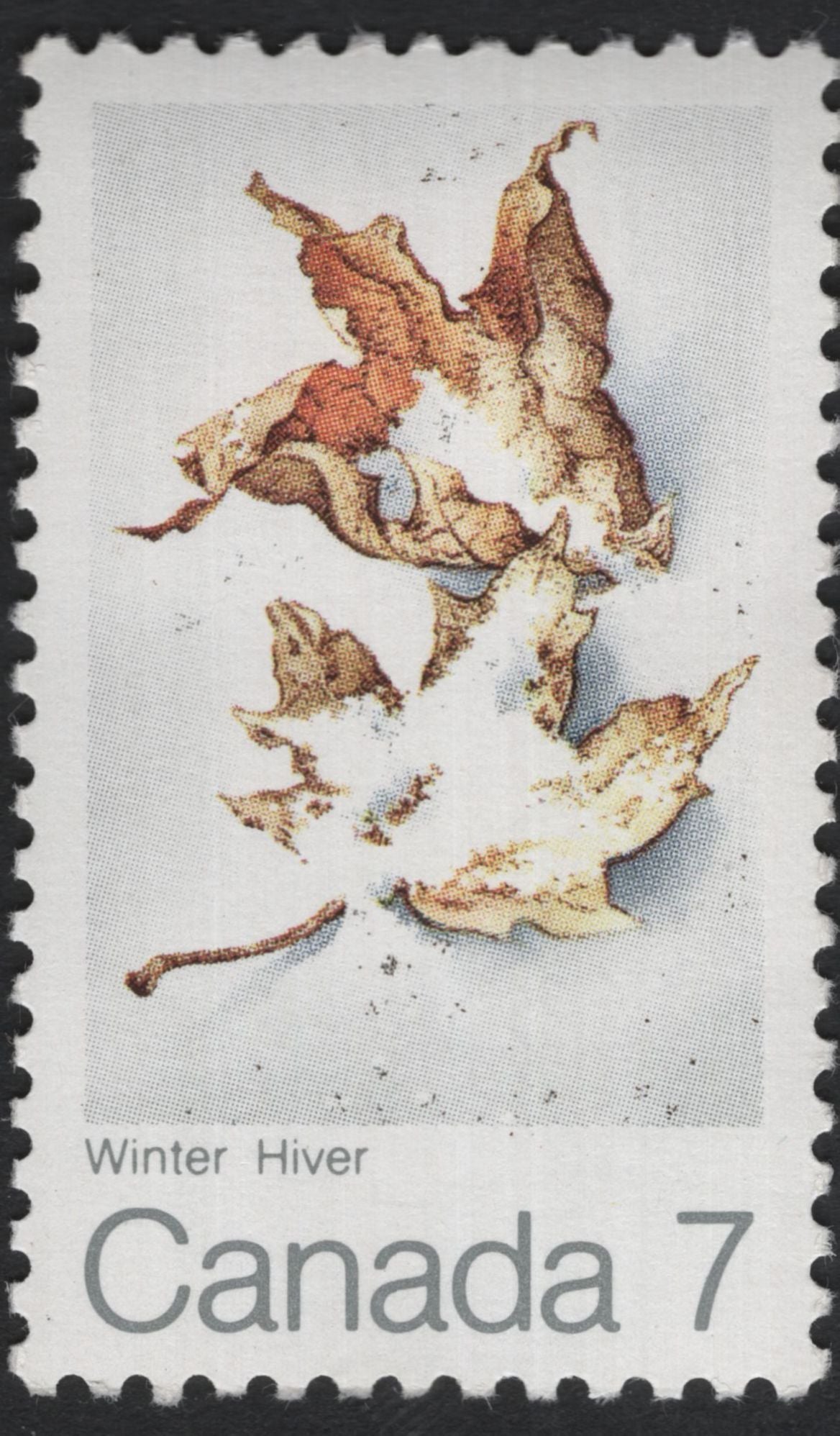 SCG11201 - 🇨🇦 Canada – Seasons (Maple Leaves) Definitive Set
