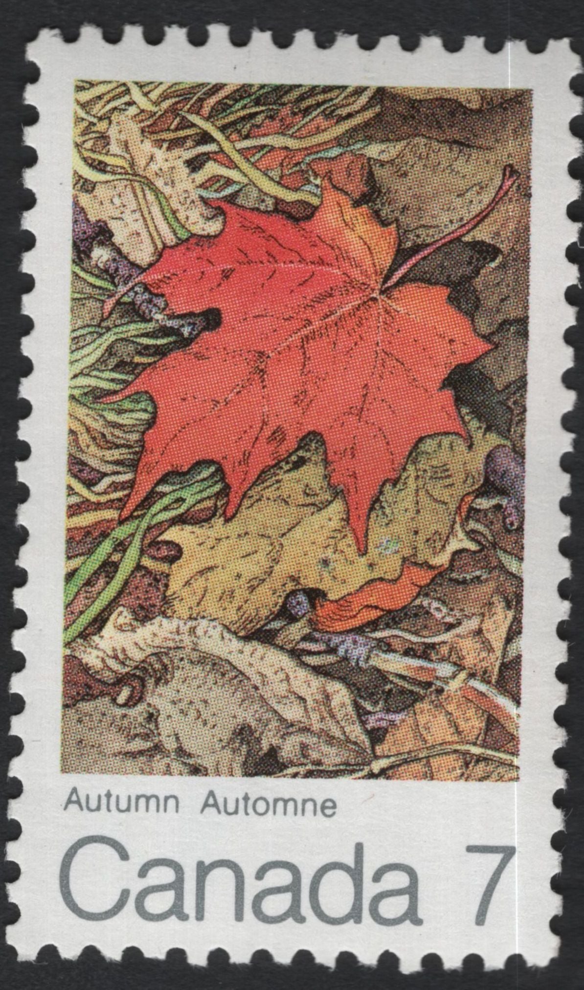 SCG11201 - 🇨🇦 Canada – Seasons (Maple Leaves) Definitive Set