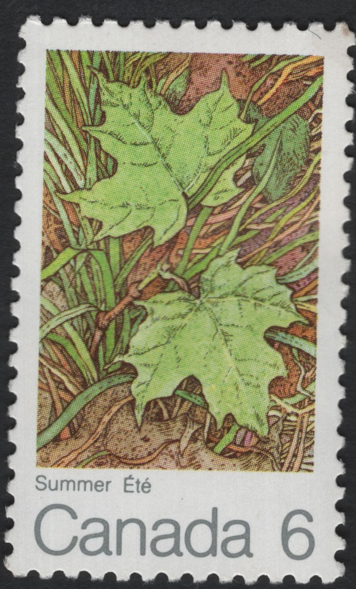 SCG11201 - 🇨🇦 Canada – Seasons (Maple Leaves) Definitive Set