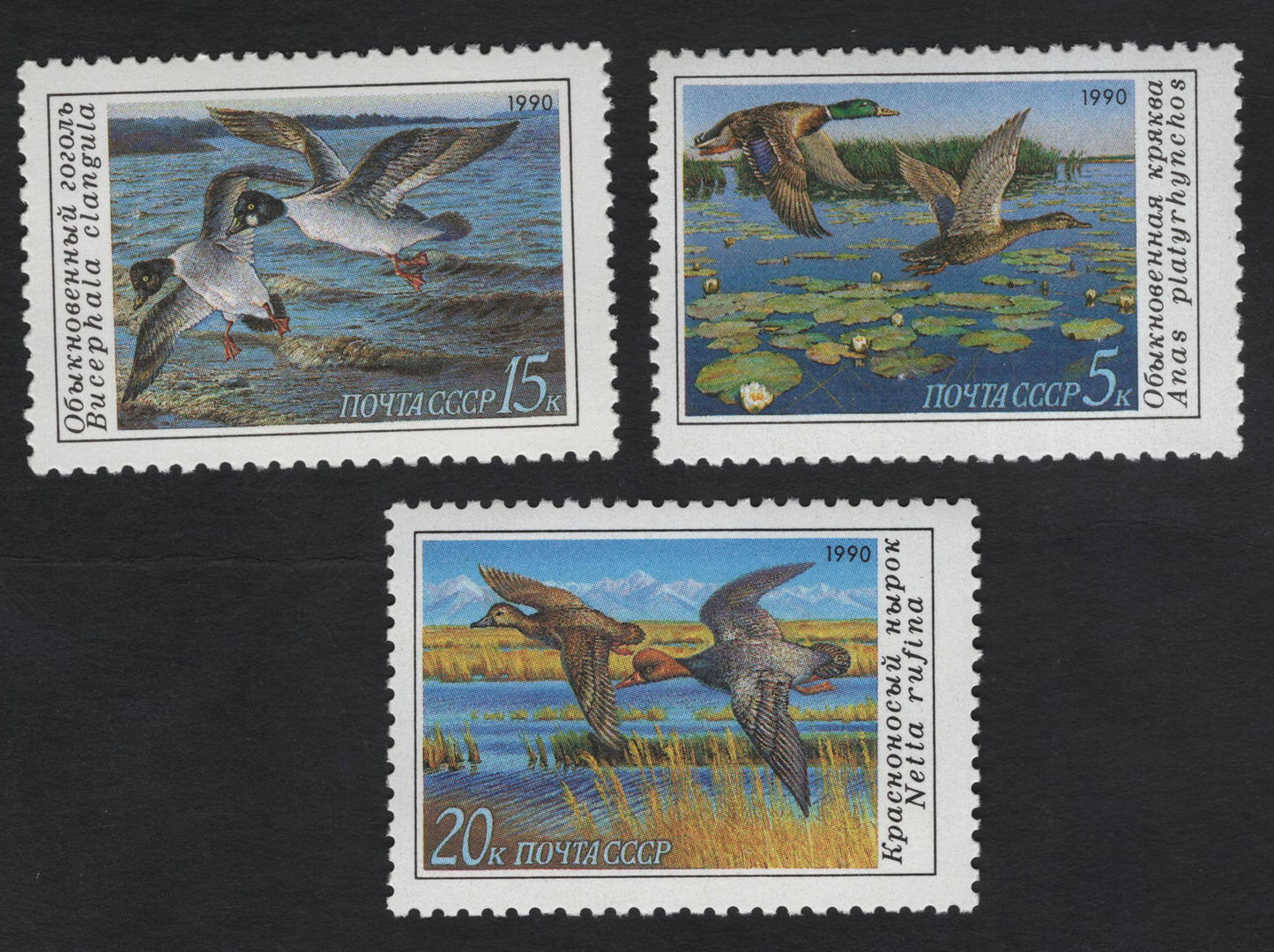 SCG11202 - USSR 1990 Wild Ducks & Waterfowl – Nature Conservation Commemorative Set
