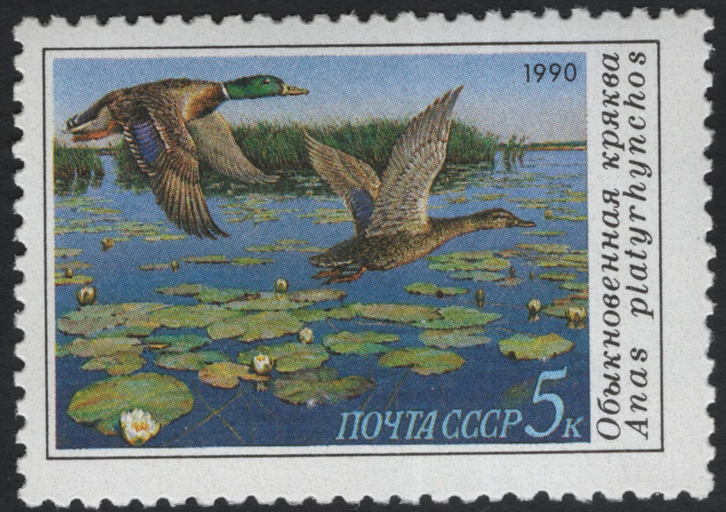 SCG11202 - USSR 1990 Wild Ducks & Waterfowl – Nature Conservation Commemorative Set