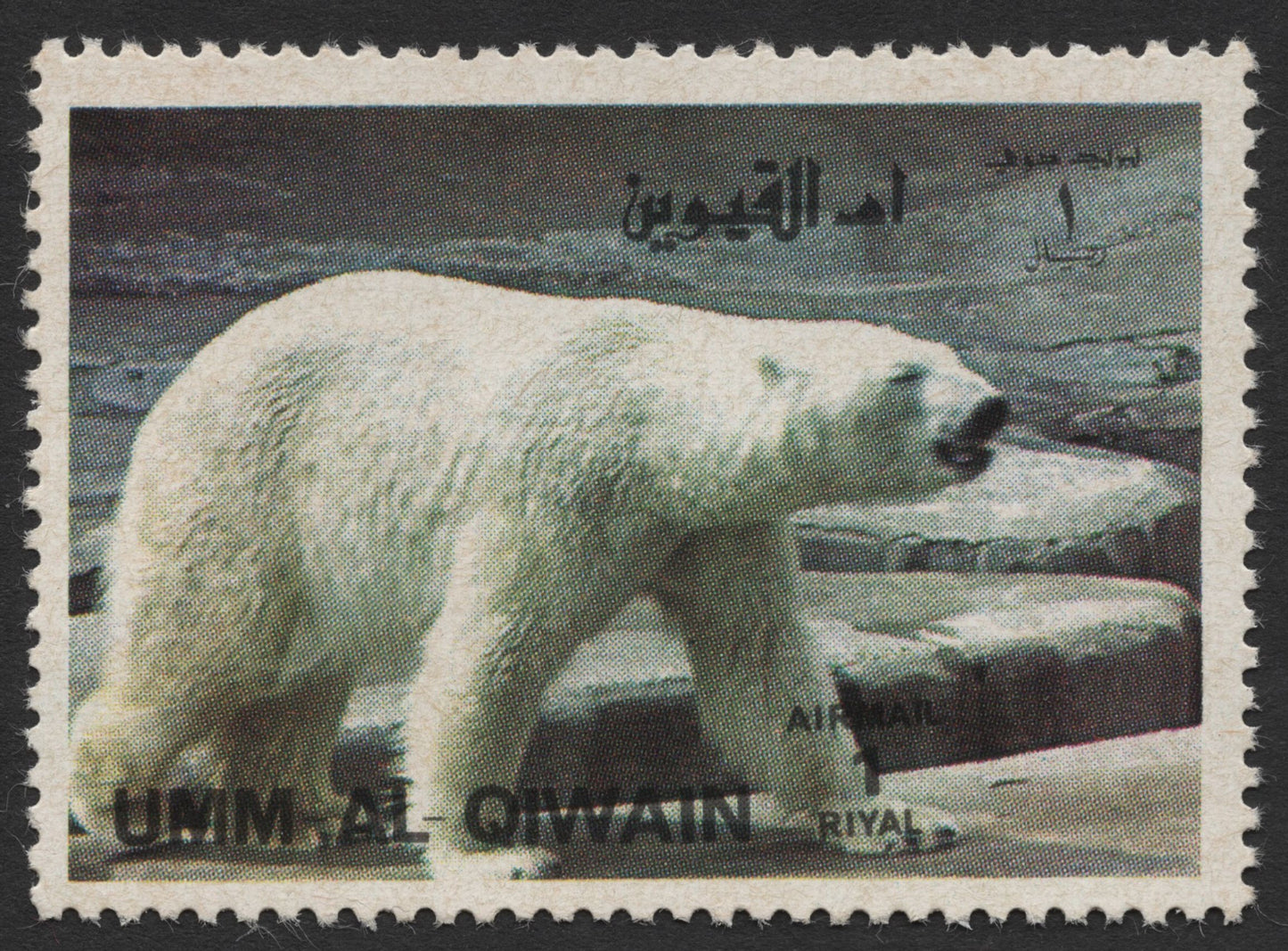 SCG438 - Umm Al-Qiwain Airmail Polar Bear Stamp (1 Riyal)