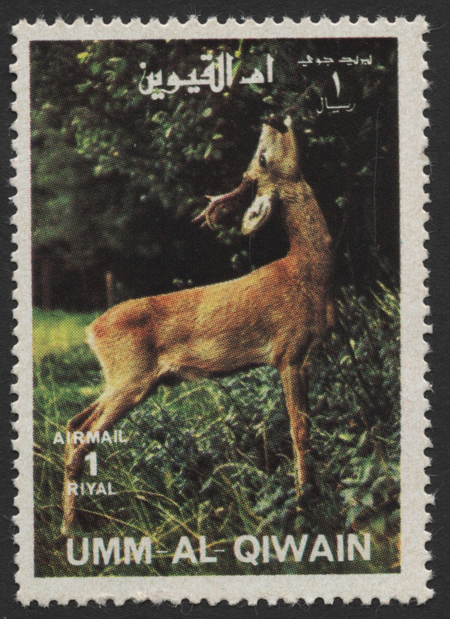 SCG434 - Umm Al Qiwain Airmail Stamps — Graceful Deer in the Wild Set