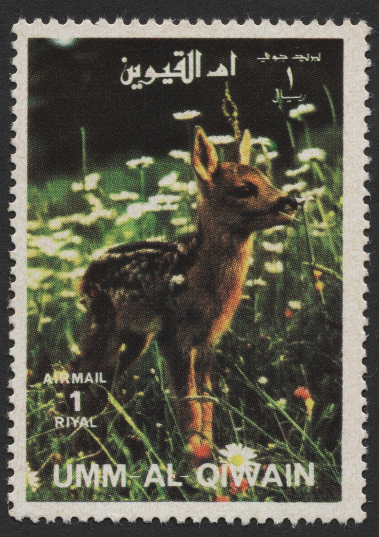 SCG434 - Umm Al Qiwain Airmail Stamps — Graceful Deer in the Wild Set