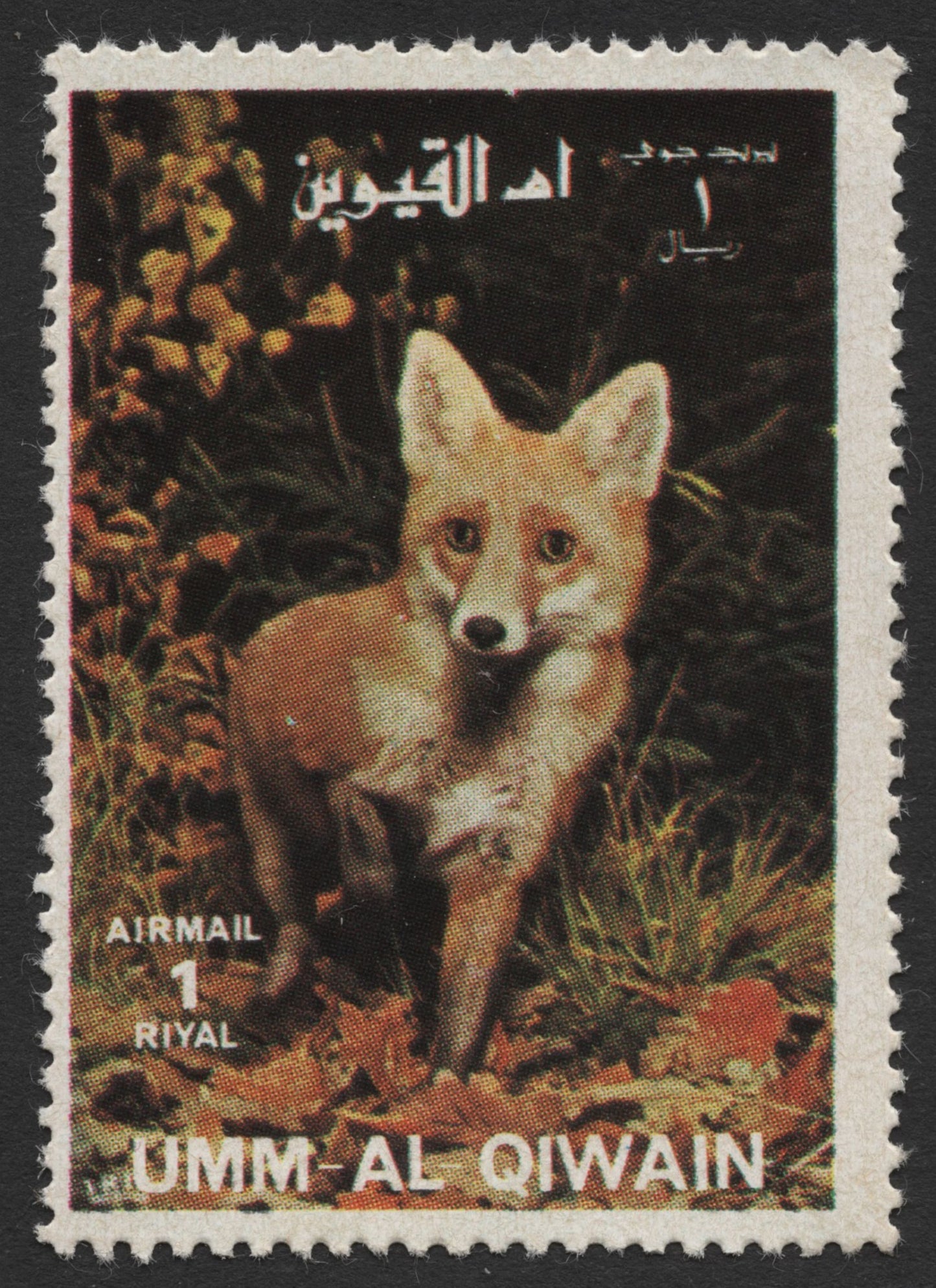SCG433 - Umm Al Qiwain Airmail Stamps — Red Fox in Nature Pair