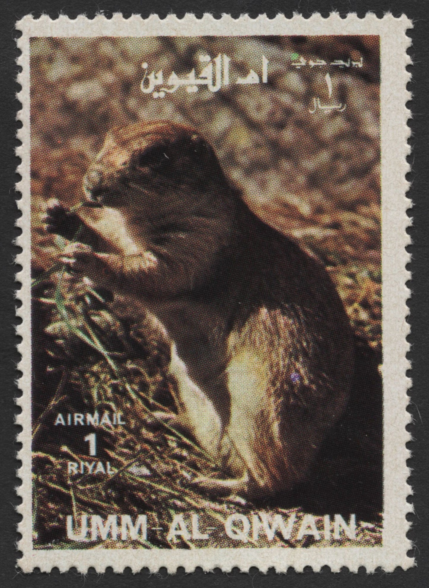 SCG437 - Umm Al Qiwain Airmail Stamp — Prairie Dog in Natural Habitat