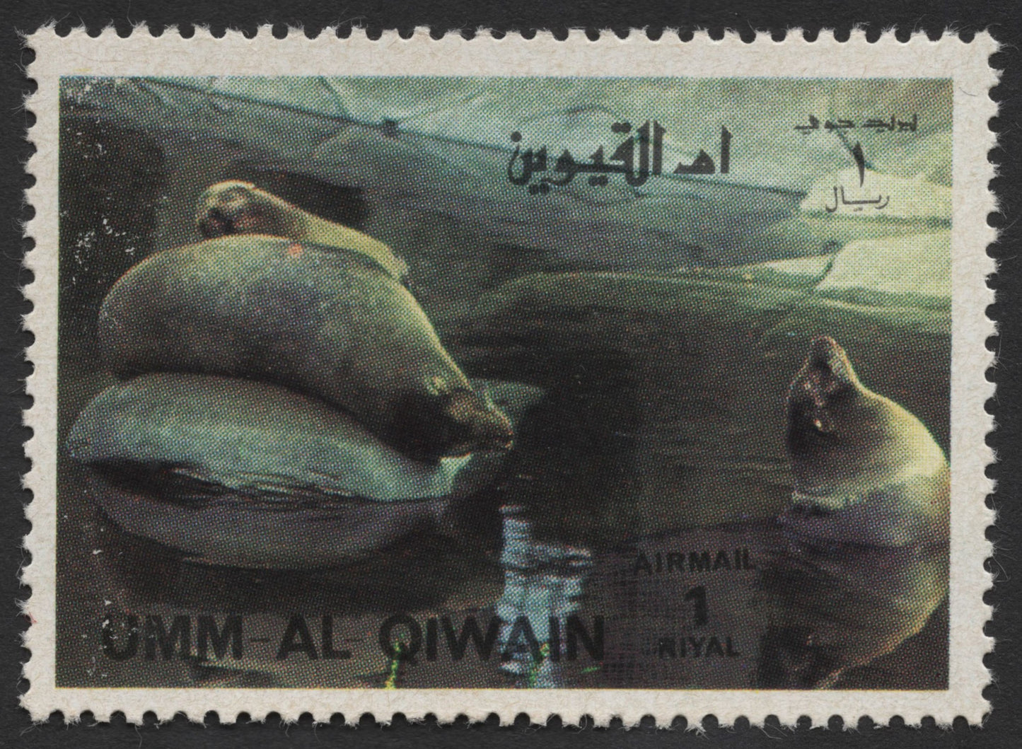 SCG435 - Umm Al Qiwain Airmail Stamps — Playful Seals and Sea Lions Set