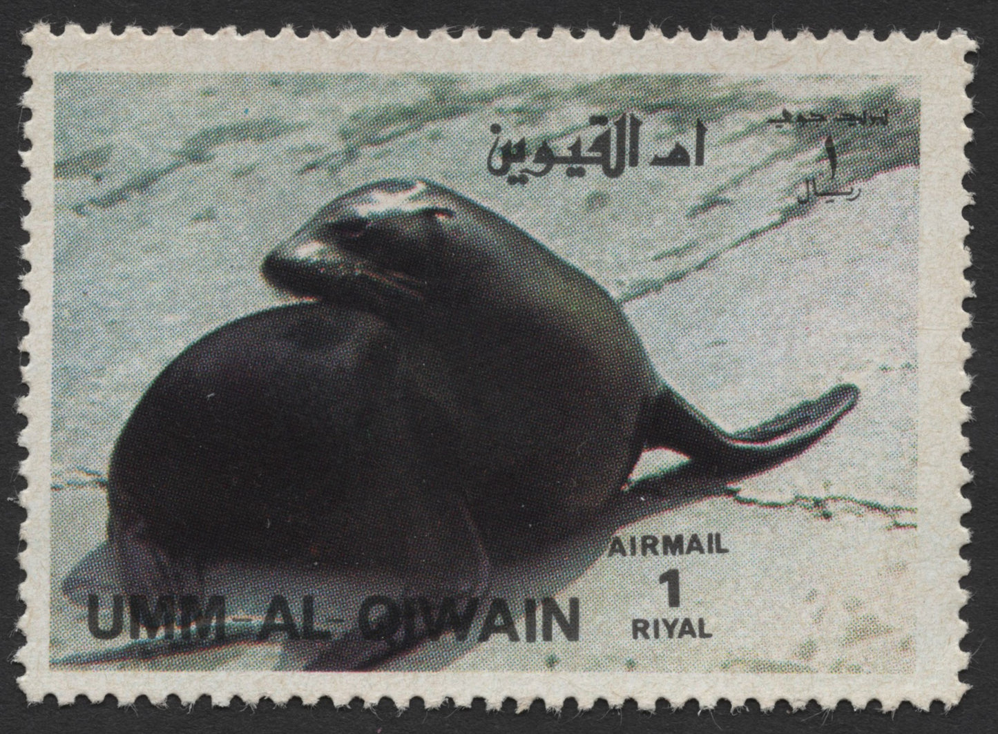 SCG435 - Umm Al Qiwain Airmail Stamps — Playful Seals and Sea Lions Set