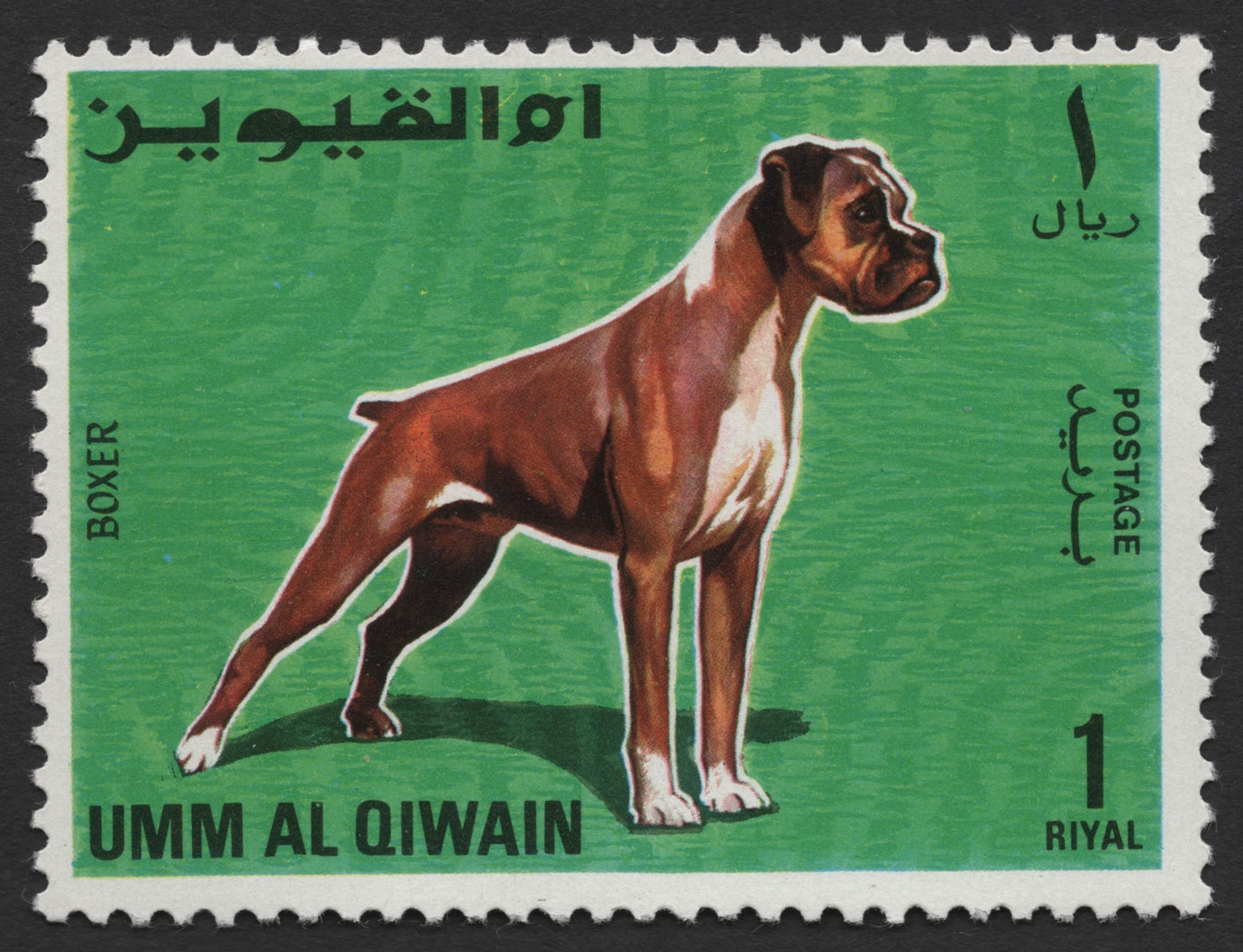 SCG431 - Umm Al Qiwain Airmail Dog Breeds Stamp Set — Terrier, Spaniel, Setter, Boxer