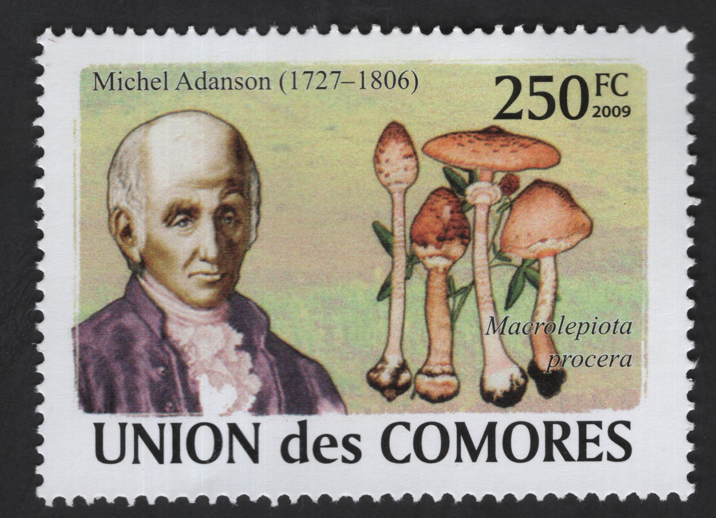 SCG13451 - Michel Adanson & Parasol Mushroom – Comoros 250 FC Stamp (2009)