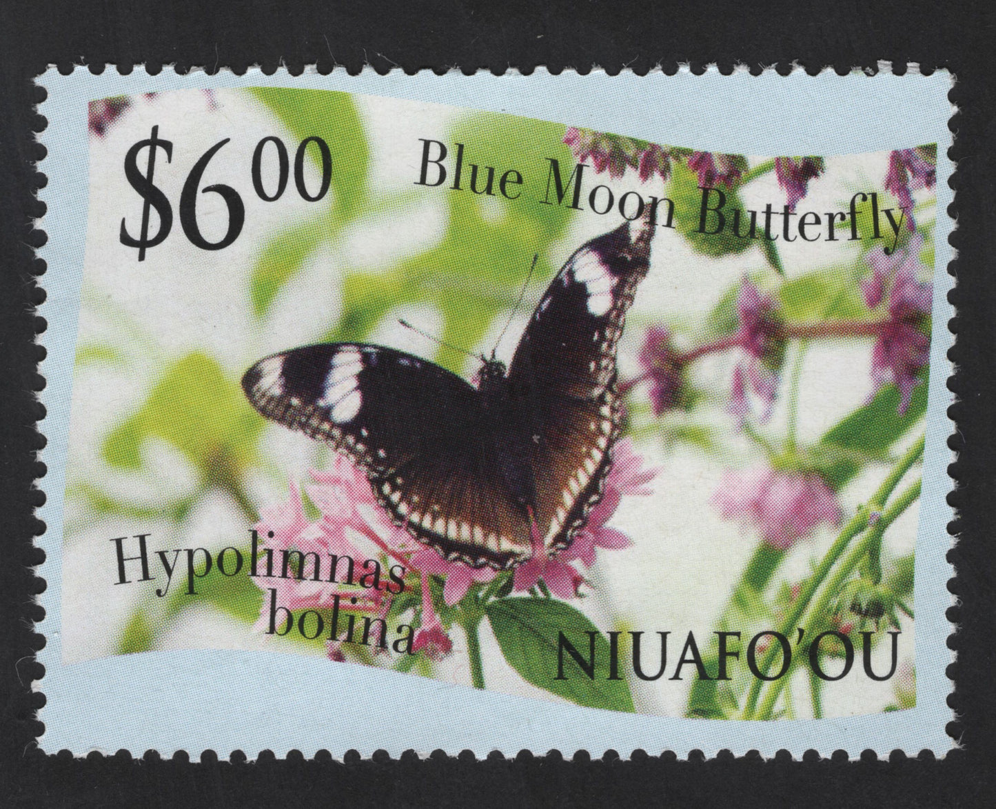 SCG13444 - Niuafoʻou $6 Blue Moon Butterfly (Hypolimnas bolina) Stamp