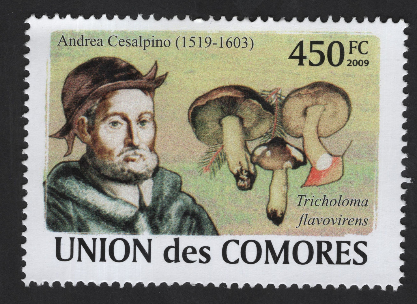 SCG13445 - Comoros 2009 – Andrea Cesalpino & Tricholoma flavovirens Mushroom (450 FC)