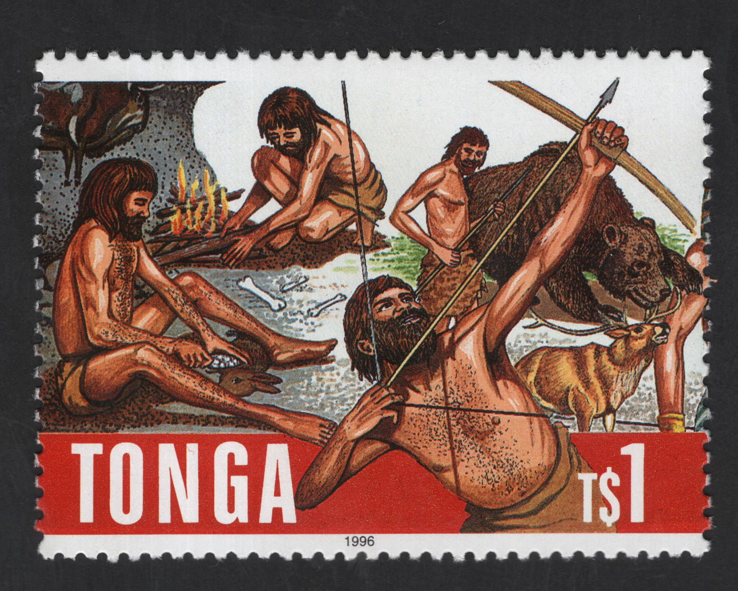 SCG13448 - Tonga 1996 – Prehistoric Life and Early Human Hunters