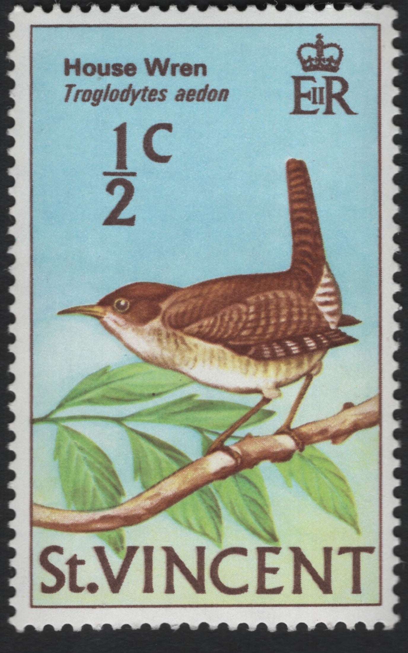 SCG11013 - St. Vincent – House Wren (Troglodytes aedon), ½c Definitive Bird Issue