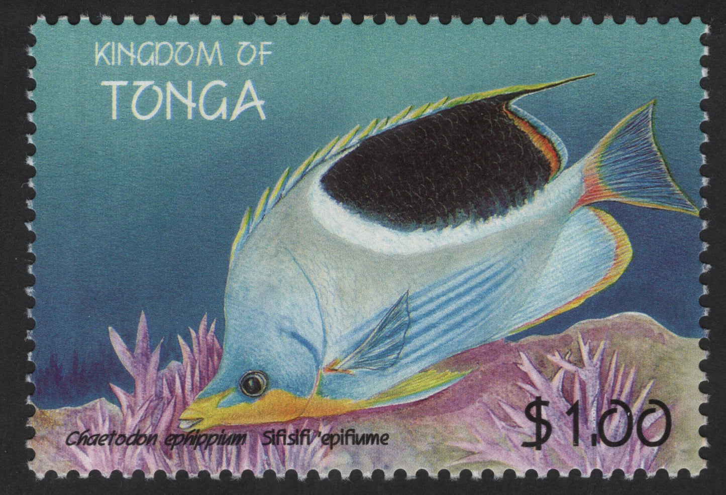 SCG13346 - Tonga $1.00 Marine Fish Stamp – Chaetodon ephippium (Saddle Butterflyfish)