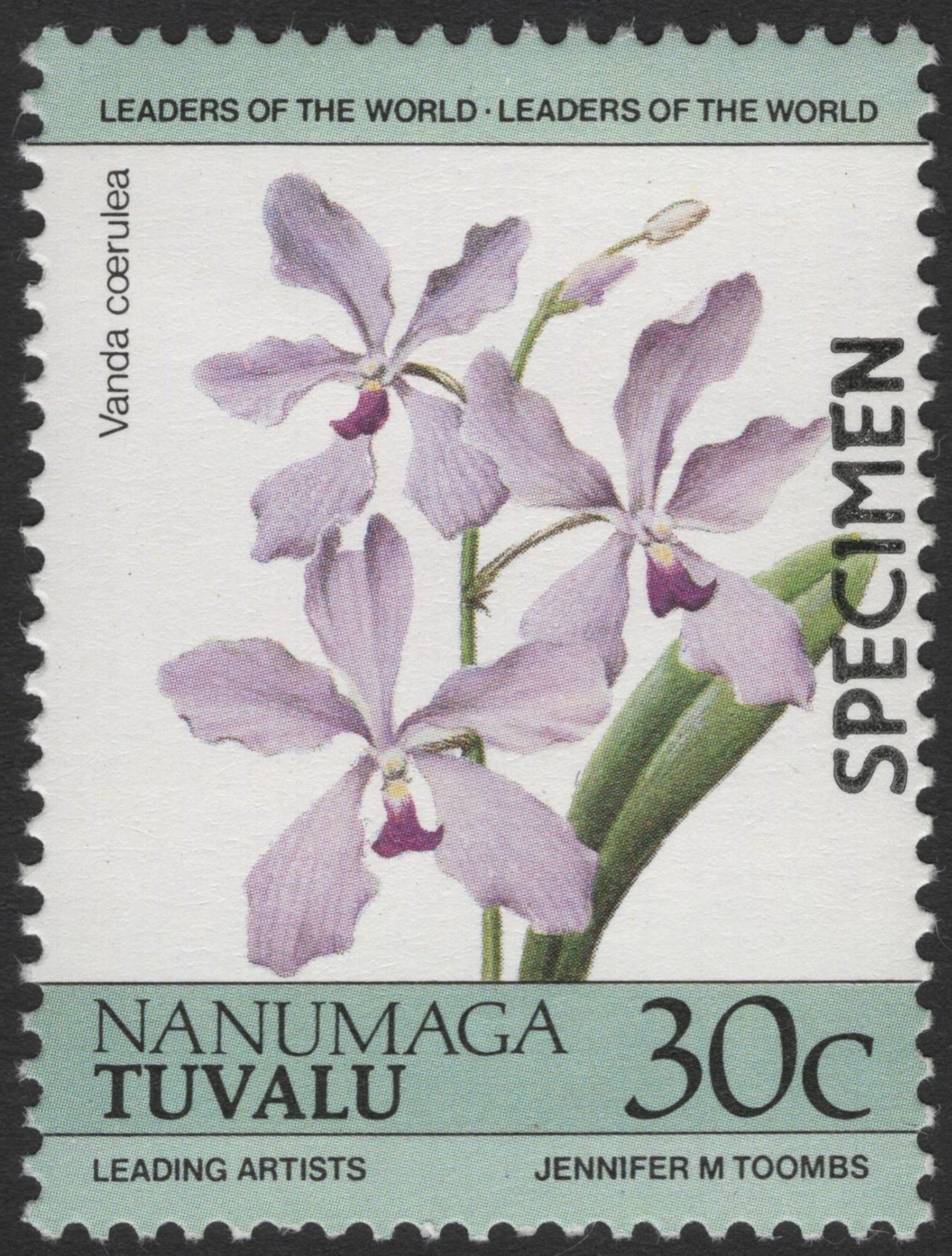 SCG11949 - Nanumaga Tuvalu Flower Specimen Set – Leading Artists Botanical Series