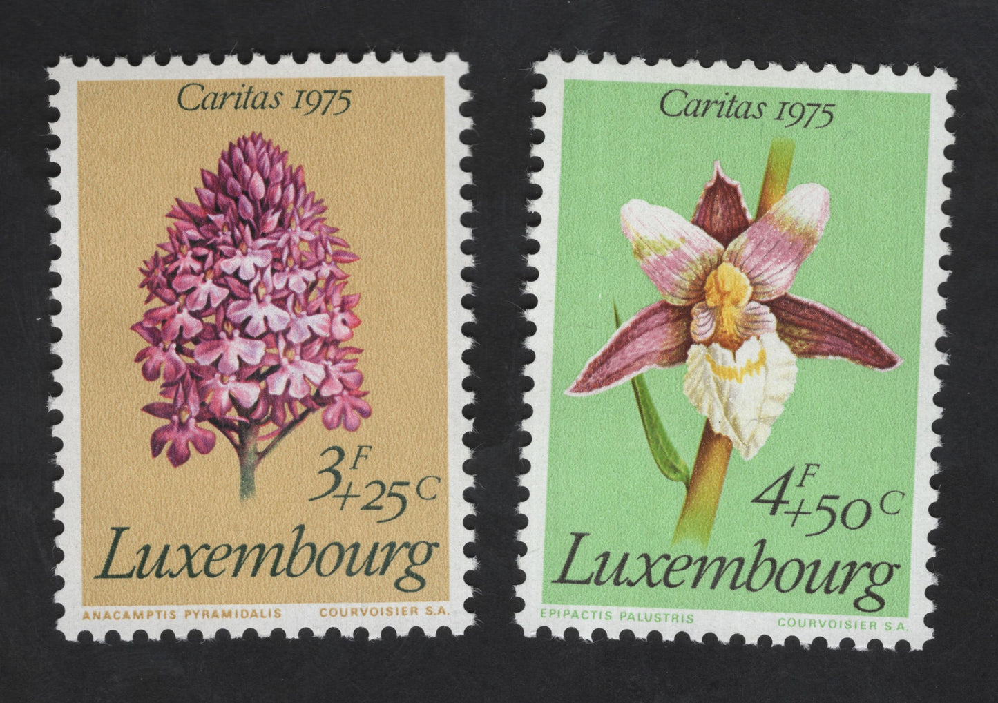 SCG13749 - 🇱🇺 Luxembourg 1975 Caritas – Orchid Series (Anacamptis & Epipactis)