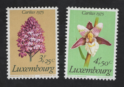 SCG13749 - 🇱🇺 Luxembourg 1975 Caritas – Orchid Series (Anacamptis & Epipactis)