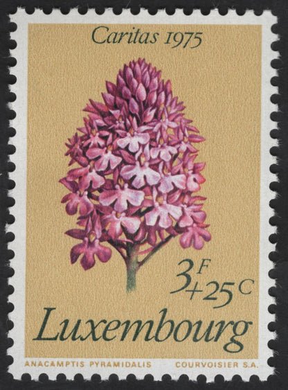SCG13749 - 🇱🇺 Luxembourg 1975 Caritas – Orchid Series (Anacamptis & Epipactis)