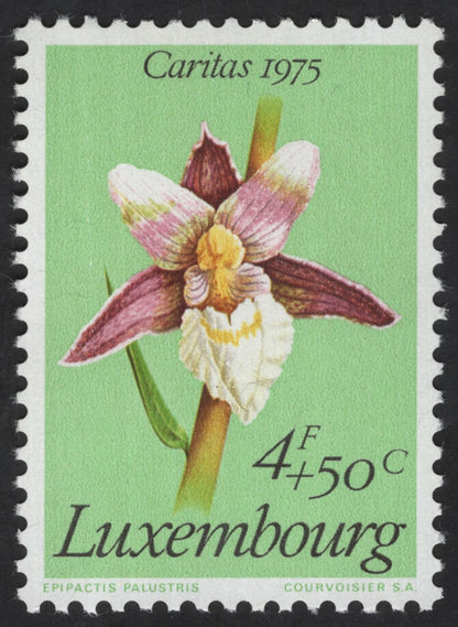 SCG13749 - 🇱🇺 Luxembourg 1975 Caritas – Orchid Series (Anacamptis & Epipactis)