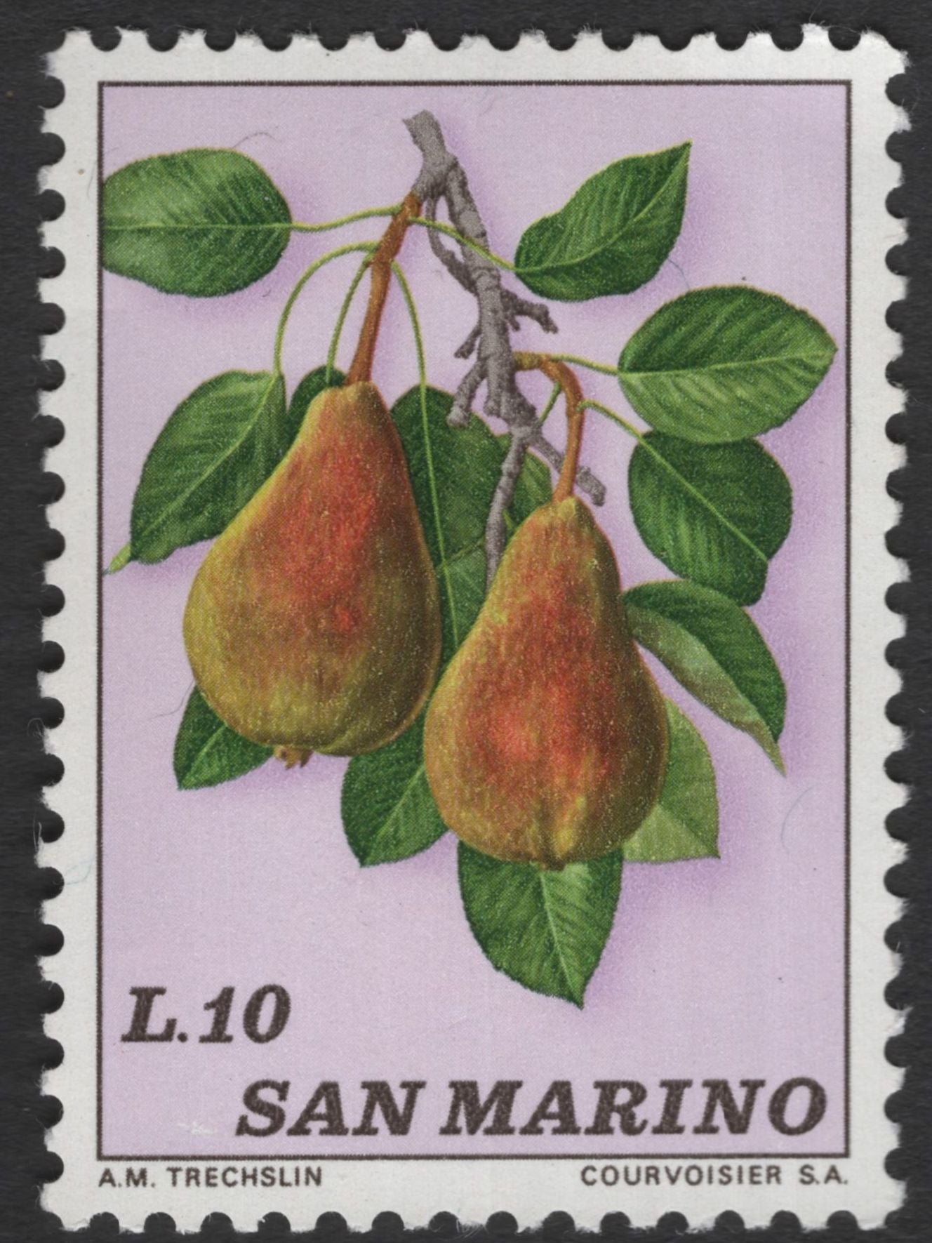 SCG11942 - San Marino Botanical Fruits – Pear & Apricot Pair