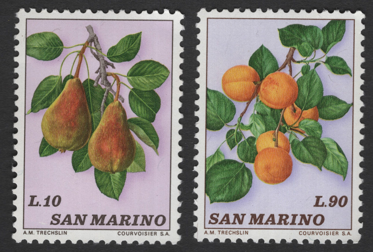 SCG11942 - San Marino Botanical Fruits – Pear & Apricot Pair