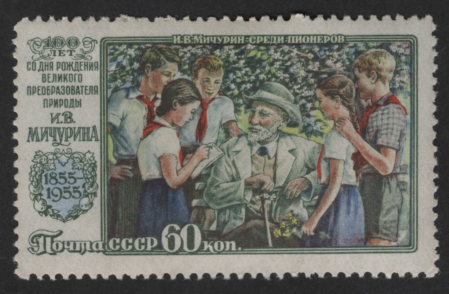 SCG12610 - USSR 1955 – Ivan Michurin with Young Pioneers (60 Kopeks) Commemorative Stamp