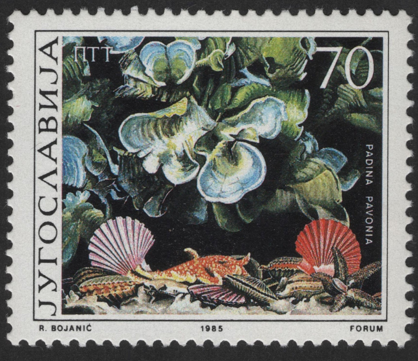 SCG12479 - Yugoslavia 1985 – Padina Pavonia Marine Flora Stamp (70 Dinara)