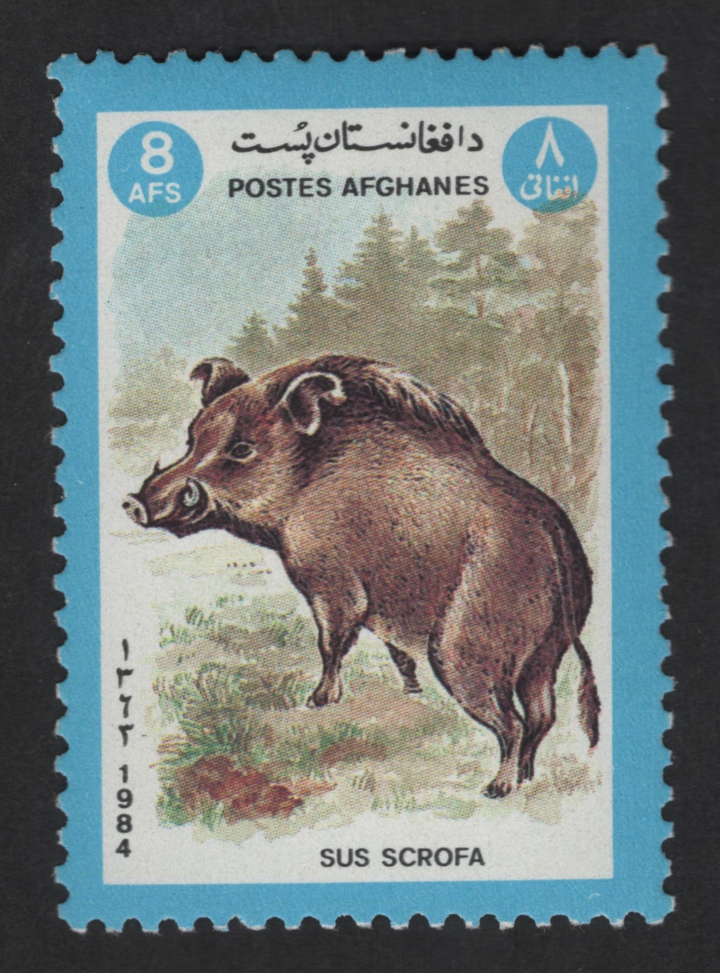 SCG12527 - Afghanistan 1984 – Wild Boar (Sus Scrofa) Wildlife Stamp – 8 AFS