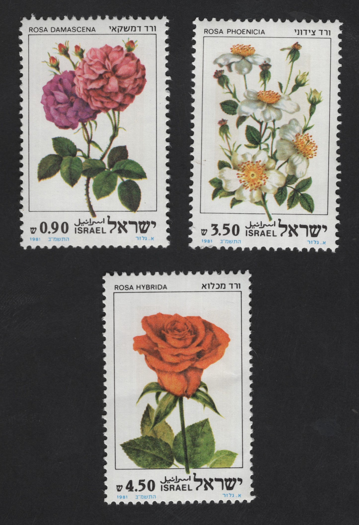 SCG12210 - Israel 1981 Botanical Roses Definitive Set (Rosa Series)