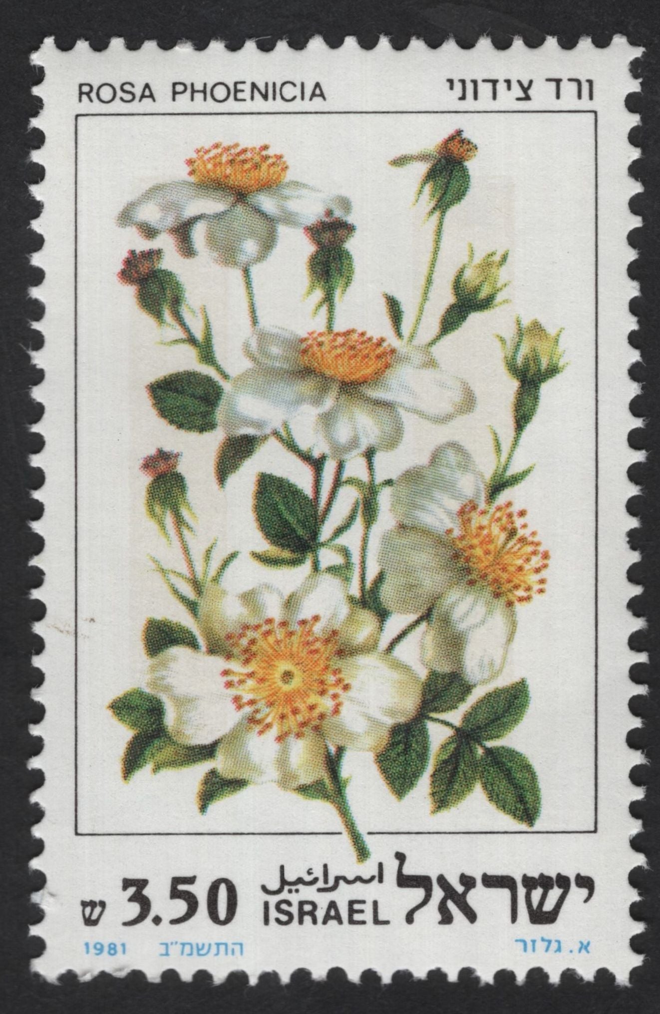 SCG12210 - Israel 1981 Botanical Roses Definitive Set (Rosa Series)