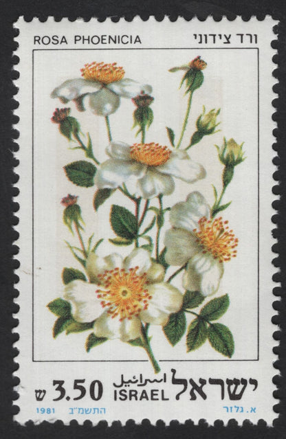 SCG12210 - Israel 1981 Botanical Roses Definitive Set (Rosa Series)