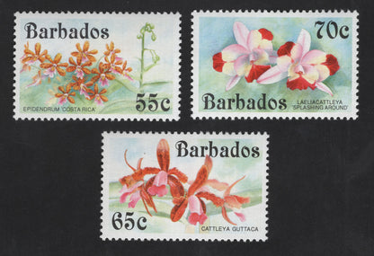 SCG12217 - Barbados Orchid Definitives – Epidendrum and Cattleya Series