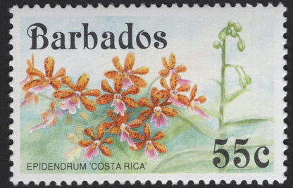 SCG12217 - Barbados Orchid Definitives – Epidendrum and Cattleya Series