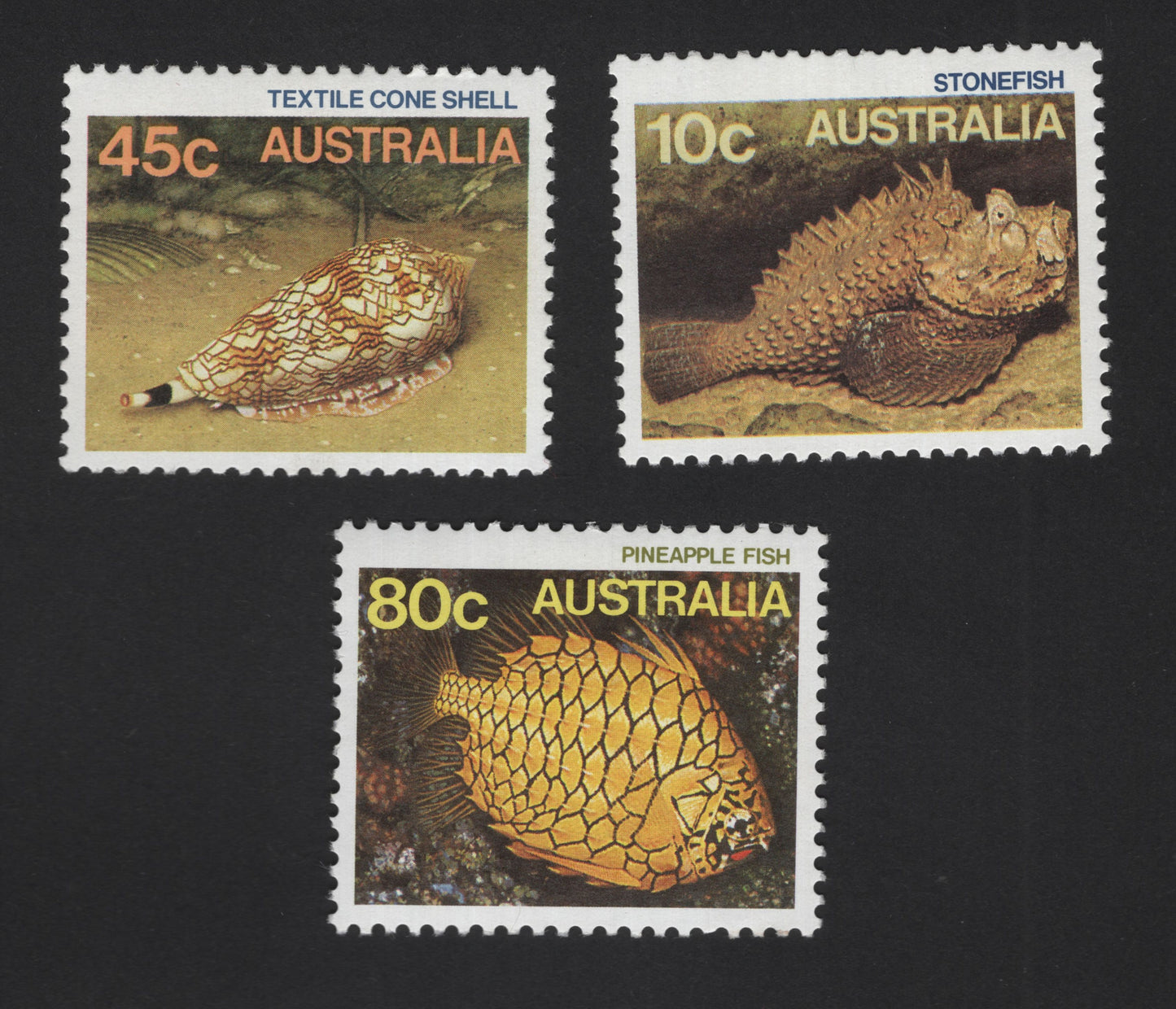 SCG12226 - Australia Marine Life Series – Textile Cone Shell, Stonefish & Pineapple Fish (Australia)