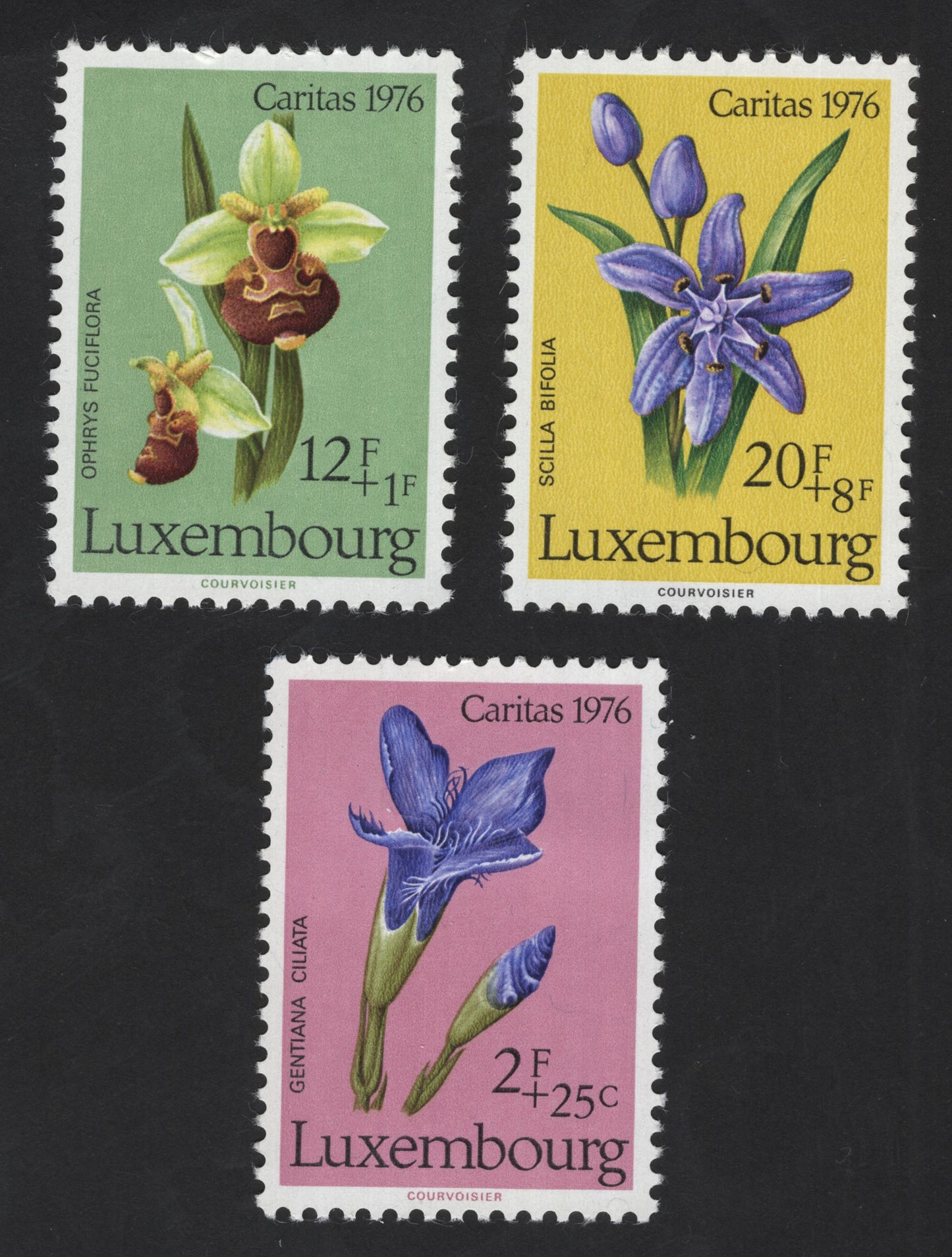 SCG12252 - Luxembourg 1976 Caritas Wildflower Charity Set
