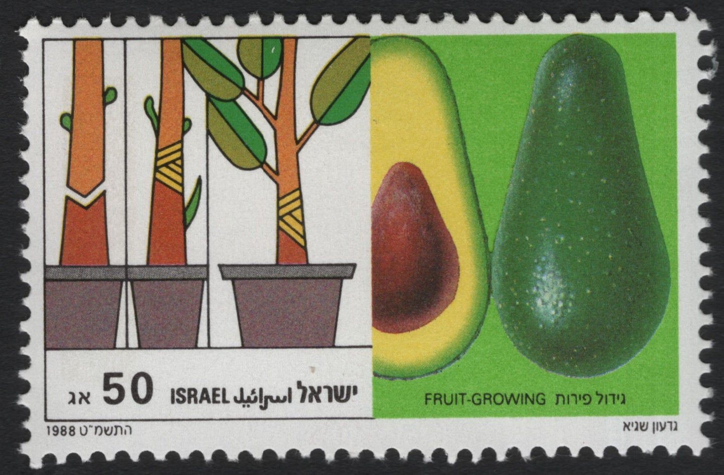 SCG8336 - Israel 1988 “Fruit-Growing – Avocado” 50 Agorot