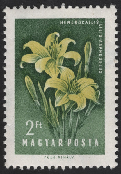 SCG12284 - Hungary 1960 – Medicinal & Wild Flowers (Hungaricum) Set