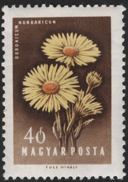 SCG12284 - Hungary 1960 – Medicinal & Wild Flowers (Hungaricum) Set