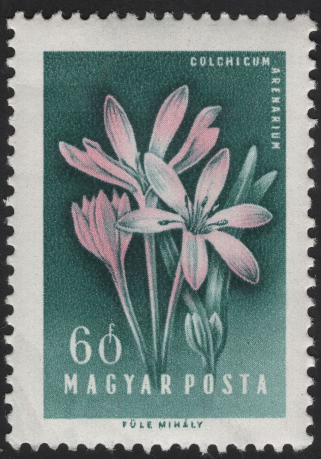 SCG12284 - Hungary 1960 – Medicinal & Wild Flowers (Hungaricum) Set