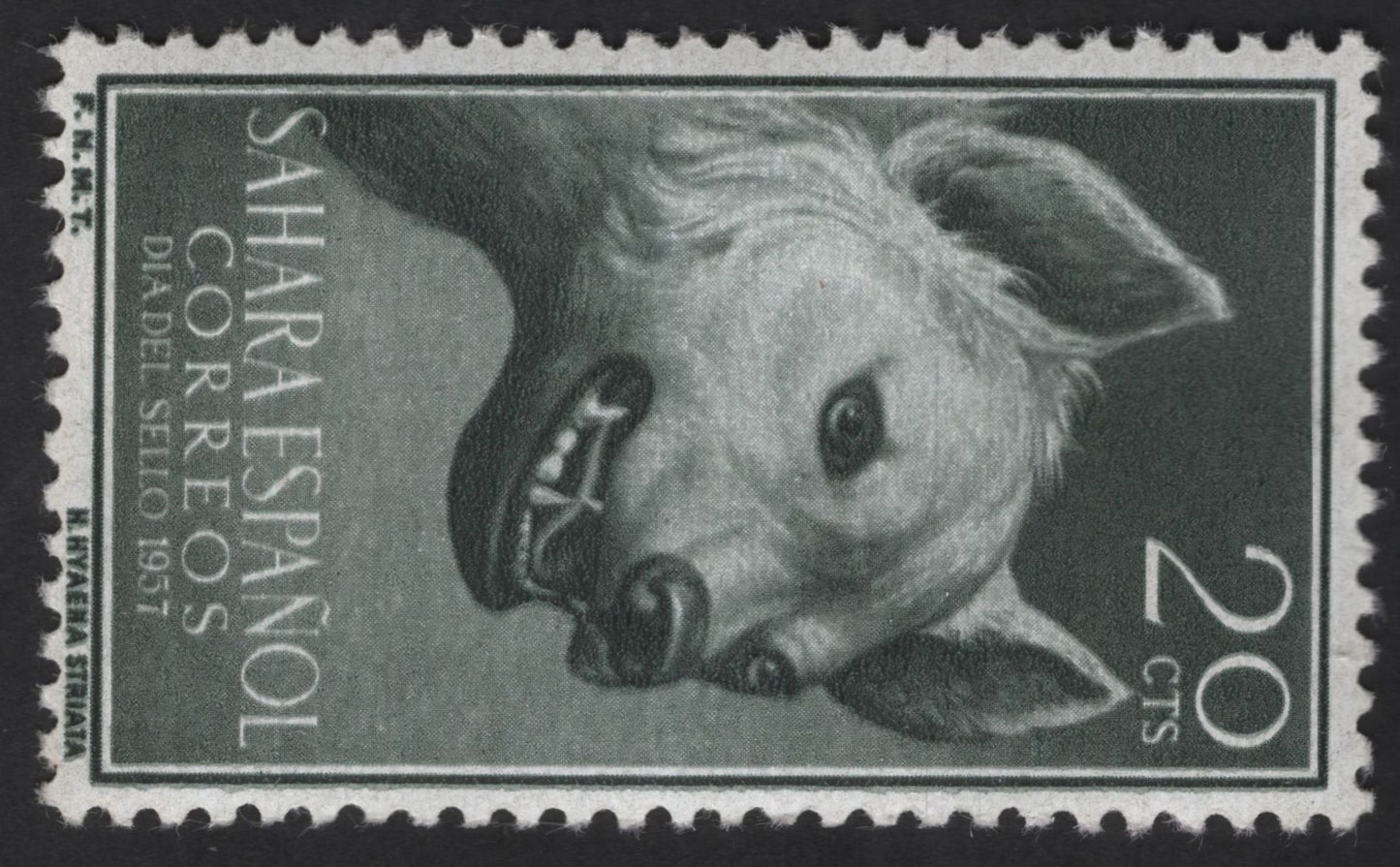 SCG12302 - Spanish Sahara 1957 – Day of the Stamp (Hyena Issue)