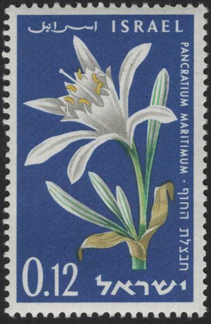 SCG12118 - Israel Wild Flowers Definitive Series – Oenothera & Pancratium