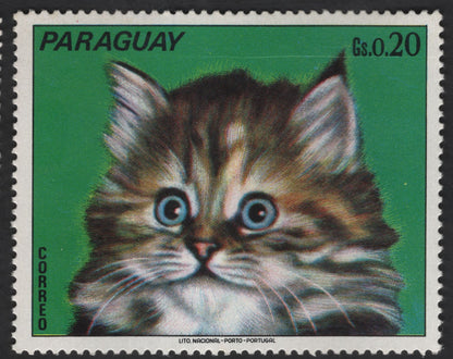 SCG12318 -   Paraguay 1970s Kittens Series – Domestic Cat Portrait Set