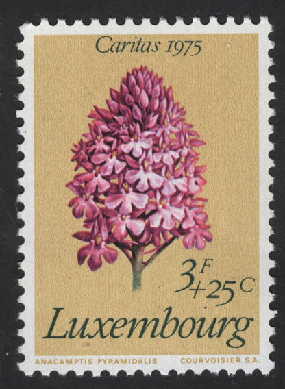 SCG12330 - Luxembourg – Caritas Wildflowers Collection (1975–1977)