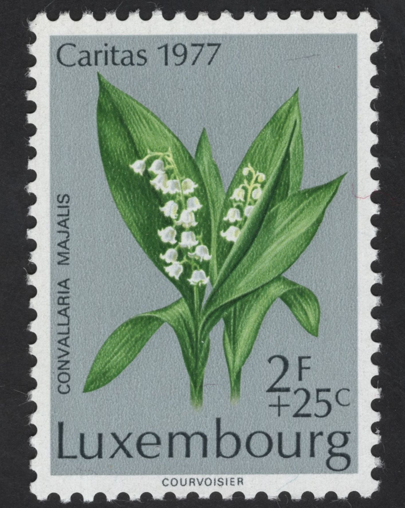 SCG12330 - Luxembourg – Caritas Wildflowers Collection (1975–1977)