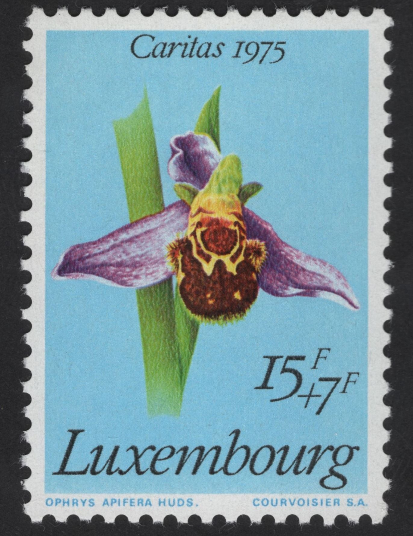 SCG12330 - Luxembourg – Caritas Wildflowers Collection (1975–1977)