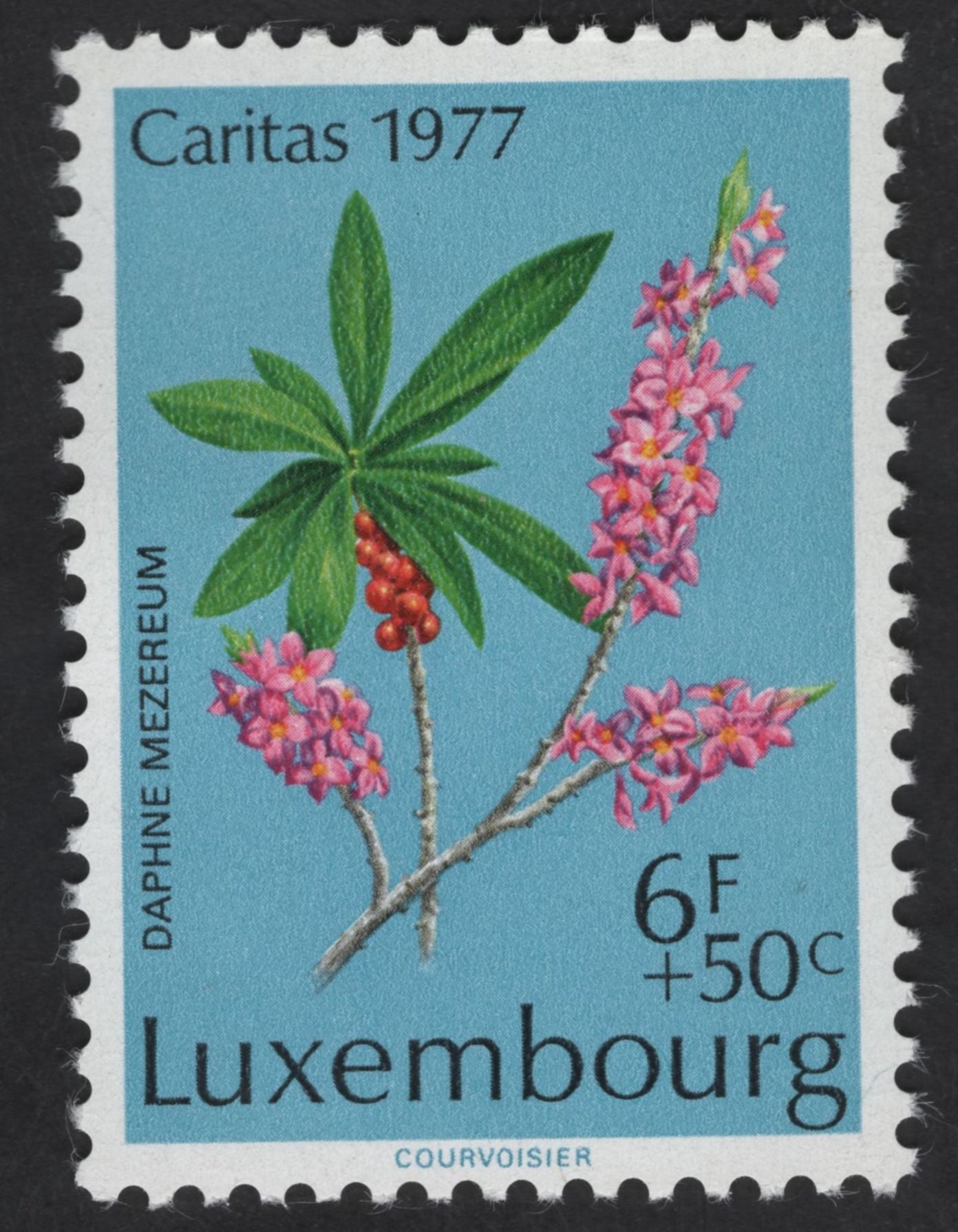 SCG12330 - Luxembourg – Caritas Wildflowers Collection (1975–1977)