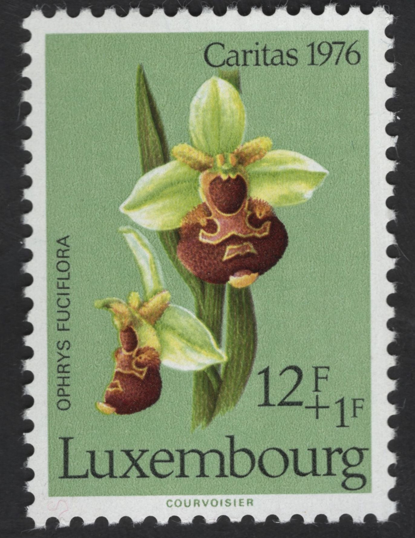 SCG12330 - Luxembourg – Caritas Wildflowers Collection (1975–1977)